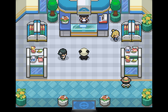 Pokemon Panda RMXP Hacks 