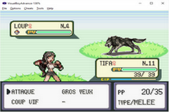 Pokemon Meets Final Fantasy Download Informations Media Pokemon Gba Rom Hacks