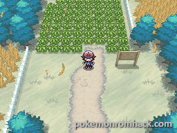 Egglocke Egglocke