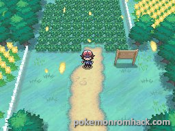 Pokemon Blaze Black NDS ROM Hacks 