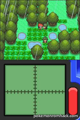 pokemon ds rom hacks with pokemon following you