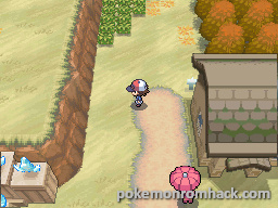 Pokemon Hoenn White EX NDS ROM Hacks 