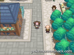 pokemon moon rom ds