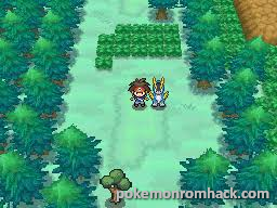 pokemon moon rom ds