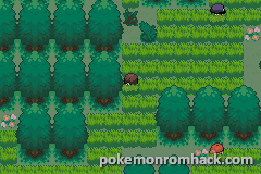 Pokemon Purple GBA ROM Hacks 