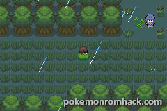 Pokemon Purple GBA ROM Hacks 