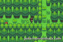 PKM Verde Musgo - Algo que observei em várias Roms, eram os sprites dos Onix  gigantes. A ideia é ótima, porém a maioria dos sprites tinha uma qualidade  abaixo do ideal, era