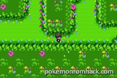 Pokemon Verde Musgo GBA ROM Hacks 