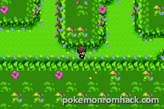 TGDB - Browse - Game - Pokémon Verde Musgo Version