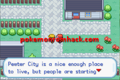 Fakemon FireRed GBA ROM Hacks 