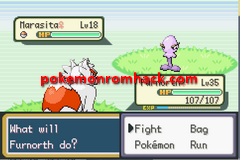 Fakemon FireRed GBA ROM Hacks 