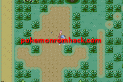 Pokemon Aquamarine Version GBA ROM Hacks 