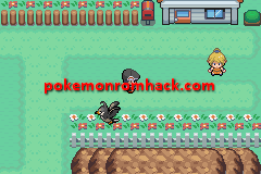 Pokemon Dark Workship All Cheats 