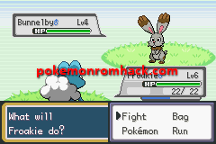 Pokemon Dark Workship GBA ROM Hacks 