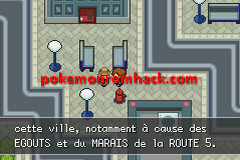 Pokemon Eclat Pourpre 2 GBA ROM Hacks 