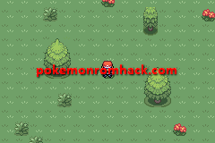 Pokemon Maia Version GBA ROM Hacks 