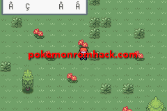 Pokemon Maia Version GBA ROM Hacks 