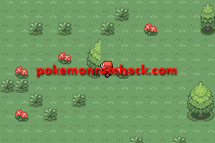 Pokemon Maia Version GBA ROM Hacks 