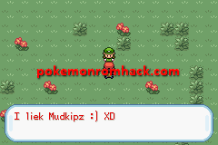 Pokemon Maia Version GBA ROM Hacks 