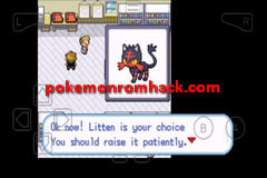 Pokemon Sun Red GBA ROM Hacks 