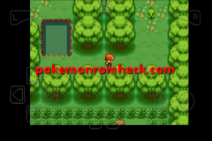 Pokemon Sun Red GBA ROM Hacks 
