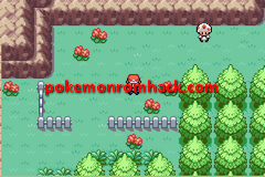 SMASHMONS: Spirit Red GBA ROM Hacks 