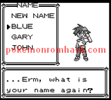 Pokemon Playable Blue GBC ROM Hacks 