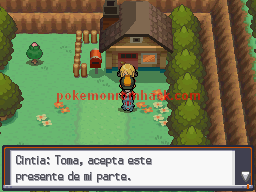 Pokemon Sacred Gold Spanish NDS ROM Hacks 