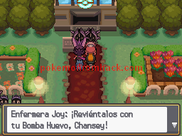 Pokemon Sacred Gold Spanish NDS ROM Hacks 