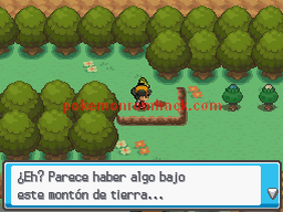 Pokemon Sacred Gold Spanish NDS ROM Hacks 