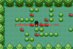 Pokemon Sevii GBA ROM Hacks 