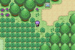 Pokemon Suri GBA ROM Hacks 