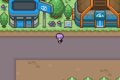 Pokemon Suri GBA ROM Hacks 