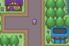 Pokemon Suri GBA ROM Hacks 