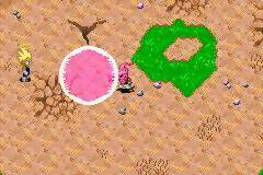 Buu's Fury - The Hard Way GBA ROM Hacks 