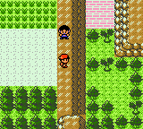 Pokemon Gold Unova GBC ROM Hacks 