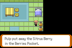 Pokemon Pocket Gaiden GBA ROM Hacks 