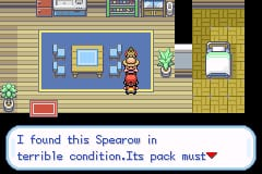 Pokemon Secret Diaries GBA ROM Hacks 