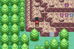 Pokemon Secret Diaries GBA ROM Hacks 