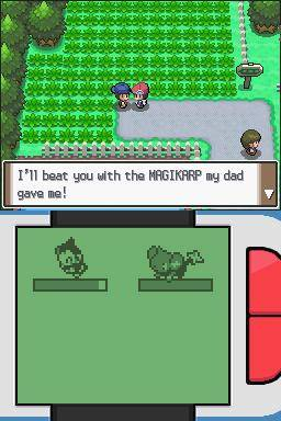 Pokemon Torn Platinum Version NDS ROM Hacks 