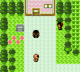 Pokemon Bronze 2 GBC ROM Hacks 