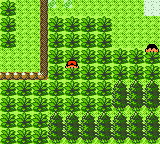 Pokemon Fool's Gold GBC ROM Hacks 