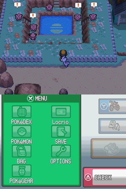 Pokemon Soaring Gold Project Rebooted NDS ROM Hacks 