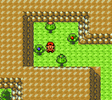 Pokemon Sour Crystal GBC ROM Hacks 