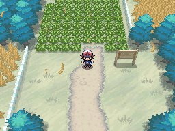 Pokemon White Deluxe + Cheat - A NDS Hack Rom, You can have a battle with  Brock on Unova Region! 