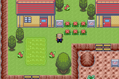 Pokemon Inheritance GBA ROM Hacks 