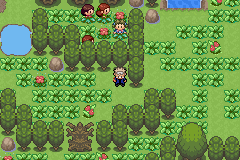 Pokemon Inheritance GBA ROM Hacks 