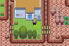 Pokemon Inheritance GBA ROM Hacks 