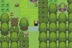 Pokemon Inheritance GBA ROM Hacks 