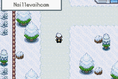 Pokemon Naillevaihcam GBA ROM Hacks 